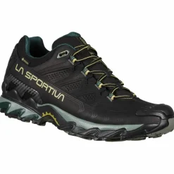 Ultra Raptor II Leather GTX Herren Multifunktionsschuhe