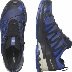 XA Pro 3D V9 GTX Herren Trailrunningschuhe