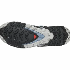 XA Pro 3D V9 GTX Herren Trailrunningschuhe