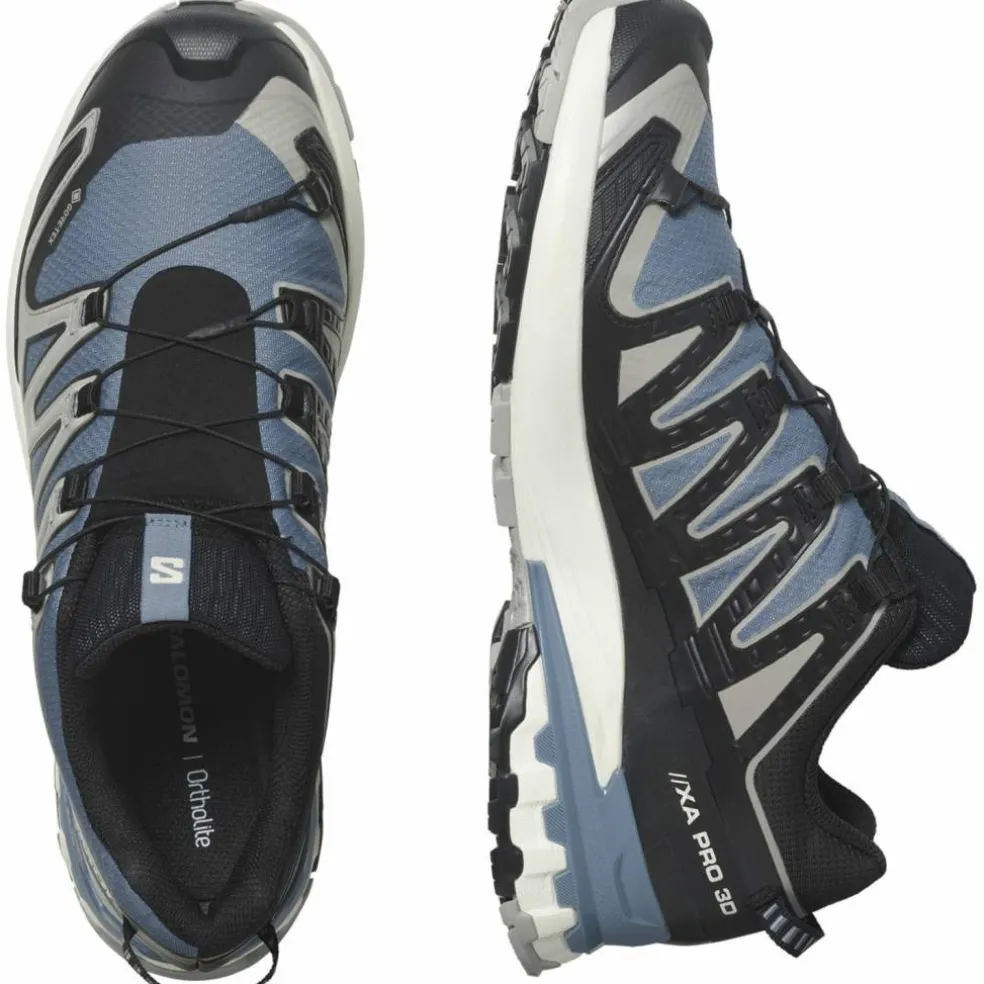 XA Pro 3D V9 GTX Herren Trailrunningschuhe