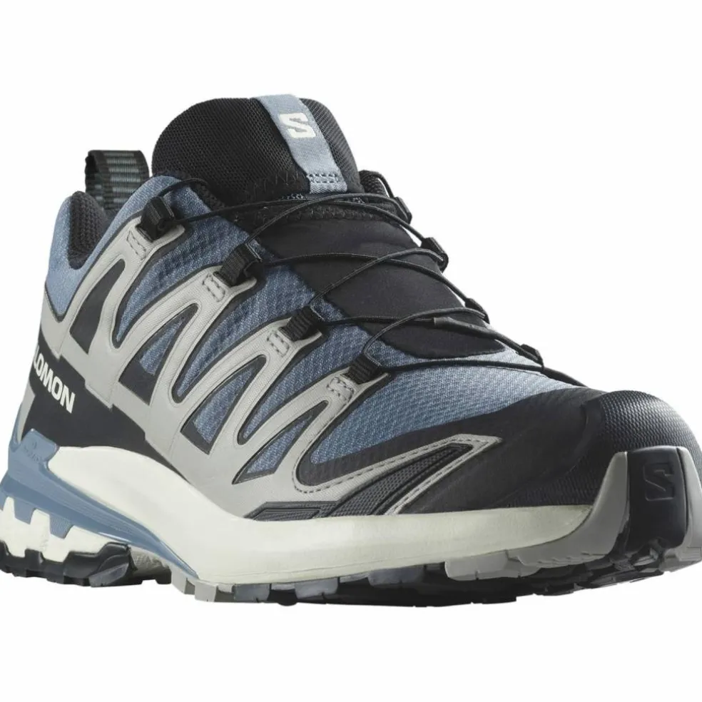 XA Pro 3D V9 GTX Herren Trailrunningschuhe