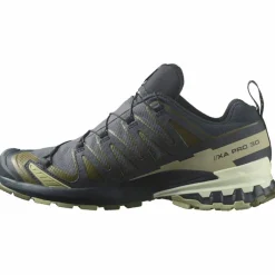 XA Pro 3D V9 GTX Herren Trailrunningschuhe
