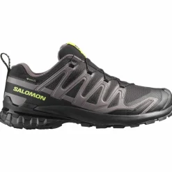 XA Pro 3D V9 GTX Herren Trailrunningschuhe
