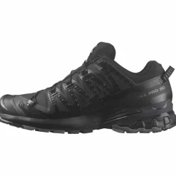 XA Pro 3D V9 GTX Herren Trailrunningschuhe