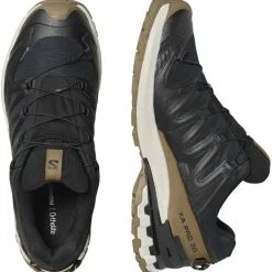 XA Pro 3D V9 GTX Lifelong Herren Trailrunningschuhe