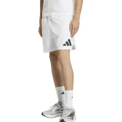 Z.n.e. Woven Short Herren Shorts